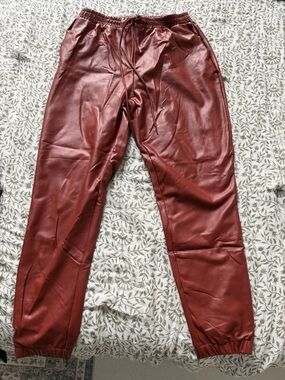 Twelve by Twelve Faux Leather Joggers in Rust with Elastic Waist
